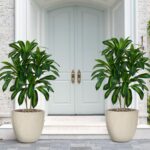 Artifical Dracaena Tree Indoor, 4FT Tall Fake Floor Plants with White Planter & Pebbles, Fuax Silk Yucca Tree for Home Office Living Room Bedroom Farmhouse Modern Outdoor Topiary Tree - Image 8