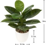 Briful 18'' Tall Artificial Plants Fake Fiddle Leaf Fig Houseplant Realistic Faux Indoor Plant in White Pot for Home Table Decor - Image 3