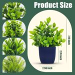 Der Rose 4 Pack Fake Plants Small Artificial Plants in Blue Pots Faux Plants Indoor for Home Room Bathroom Living Room Decor - Image 4