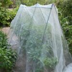 Agfabric Garden Netting 10'x12' Insect Pest Barrier Bird Netting for Garden Protection,Row Cover Mesh Netting for Vegetables Fruit Trees and Plants,White - Image 7
