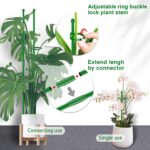 20Pcs Plant Support Stakes 17 inch SupKing Garden Orchid Sticks Extended to 3ft 4ft 5ft Plant Poles with Clips for Indoor Outdoor Potted Tomato Rose Amaryllis Vegetables Comes with 20 Ties - Image 4