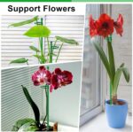 20Pcs Plant Support Stakes 17 inch SupKing Garden Orchid Sticks Extended to 3ft 4ft 5ft Plant Poles with Clips for Indoor Outdoor Potted Tomato Rose Amaryllis Vegetables Comes with 20 Ties - Image 7