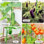 20Pcs Plant Support Stakes 17 inch SupKing Garden Orchid Sticks Extended to 3ft 4ft 5ft Plant Poles with Clips for Indoor Outdoor Potted Tomato Rose Amaryllis Vegetables Comes with 20 Ties - Image 8