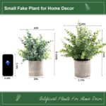 2 Pack Small Fake Plants 14" Eucalyptus Potted Artificial Plants for Shelf Desk Home Bathroom Farmhouse Room Coffee Table Decor (Sage Green-Large) - Image 7