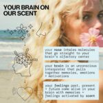 Pacifica Silver Moon Vanilla Almond Spice Perfume – Warm Gourmand Clean Fragrance for Women, 2 fl oz (Vegan & Cruelty-Free) - Image 9