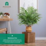 MOSADE Artificial Palm Tree 28Inch Fake Potted Areca Palm Plant with Handmade Seagrass Basket, Perfect Faux Tree Home Décor for Indoor Outdoor Office Porch Balcony Bedroom Bathroom Gift - Image 4