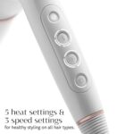 T3 AireLuxe Professional Ionic Hair Dryer and Brush Set, with 5 Heat and 3 Speed Settings, Ion Generator, Cool Shot, Includes Paddle Brush and 2.5" Round Brush - Image 8