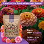 Zinnia Seeds Pack 4 oz - Over 15,300 Non-GMO Heirloom Zinnia Seeds for Planting, Annual Flowers in Individual Seed Packet for Planting Home Garden Indoor & Outdoor Gardening - Image 5