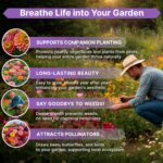 Zinnia Seeds Pack 4 oz - Over 15,300 Non-GMO Heirloom Zinnia Seeds for Planting, Annual Flowers in Individual Seed Packet for Planting Home Garden Indoor & Outdoor Gardening - Image 6