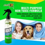 Sweat X Sport Extreme Odor Spray – Multipurpose Deodorizer for Stinky Shoes, Clothes, Sports Equipment & All Fabrics – Concentrated Formula, No Washing Required - Active Fresh Scent – 8 Fl Oz - Image 7