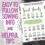 Seed Needs Herb Seeds Variety Pack Culinary Herb Collection (12 Individual Packets for Planting Indoors or Outdoors) Grow Your Own Herb Garden - Heirloom, Non-GMO - Image 9