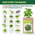 Herb Seeds 15-Pack – 4,500+ Non-GMO Heirloom Seeds for Planting – Indoor & Outdoor Herb Garden Kit with Basil, Cilantro, Rosemary, Thyme, Dill, Sage – Medicinal & Culinary Herb Seeds Variety Pack - Image 3