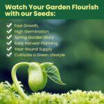 Herb Seeds 15-Pack – 4,500+ Non-GMO Heirloom Seeds for Planting – Indoor & Outdoor Herb Garden Kit with Basil, Cilantro, Rosemary, Thyme, Dill, Sage – Medicinal & Culinary Herb Seeds Variety Pack - Image 4