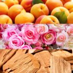 Calvin Klein Escape Eau de Parfum – Floral Women's Perfume – With Notes of Apricot, Jasmine, Amber, Sandalwood, Vanilla & Musk – Long Lasting Fragrance - Image 5