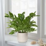 Briful Faux Plants Indoor 17" Artificial ZZ Plants in Ceramic Pot Fake Potted Zamioculcas Silk Plants for Home Table Decor Bedroom Aesthetic (1Pack) - Image 6