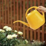 Fasmov 1-Gallon Plastic Watering Can with Comfortable Handle, Garden Watering Cans Long Spout for Indoor Outdoor Watering Plants, Yellow - Image 6