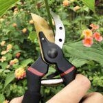 gonicc 8" Professional Premium Titanium Bypass Pruning Shears (GPPS-1003), Hand Pruners, Garden Clippers. - Image 7