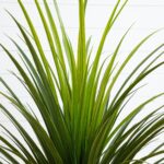 Nearly Natural 3ft UV Resistant Artificial Grass Plant – Indoor/Outdoor Faux Greenery, Flexible Branches, Premium Craftsmanship, Includes Nursery Planter, Ideal for Home Decor and Outdoor Gardens - Image 4