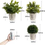 3 Pack Small Fake Plants in Farmhouse Concrete Planter, Artificial Plants Indoor for Home Decor, Small Faux Plants Indoor for House Bathroom Office Shelf Desk Kitchen Table Room Decor - Image 4