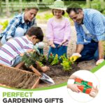 WORKPRO 11" Garden Hand Trowel, Heavy Duty Polished Stainless Steel Garden Shovels with Wood Handle, Small Gardening Hand Tools for Digging, Planting, Measure, Transplanting - Image 7