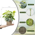2 Pack Medium Fake Plants with 4 Inch Wooden Planters, 12" Tall Indoor Artificial Plants for Shelves, Desktop, Bedroom, Office Decor - Image 3