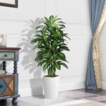 Artificial Dracaena Plant Indoor 5FT - Fake Tree with White Tall Planter - Faux Yucca Tall Fake Floor Plant in Pot - Artificial Trees for Home Office Living Room Decor Indoor - Image 3