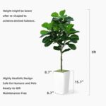 Fiddle Leaf Fig Tree Artificial 5FT - Faux Fiddle Leaf Fig Tree with White Tall Planter - Fake Ficus Lyrata Floor Plant Potted - Artificial Fig Tree for Home Office Living Room Decor Indoor - Image 7