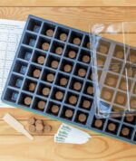 Burpee Greenhouse Indoor Starting Herbs, Flowers and Vegetables | Includes Dome, Watering, Seed Starter Tray, Coir Pellets | 10" W x 20" L x 5" H, One Size, 1 Kit (72 Cells) - Image 3