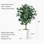 Artificial Ficus Tree 5FT - Faux Indoor Tree with White Tall Planter - Fake Ficus Floor Plant Potted - Artificial Silk Tree for Home Office Living Room Decor Indoor - Image 7