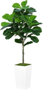 Fiddle Leaf Fig Tree Artificial 5FT - Faux Fiddle Leaf Fig Tree with White Tall Planter - Fake Ficus Lyrata Floor Plant Potted - Artificial Fig Tree for Home Office Living Room Decor Indoor - Image 2