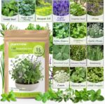 Herb Seeds 15-Pack – 4,500+ Non-GMO Heirloom Seeds for Planting – Indoor & Outdoor Herb Garden Kit with Basil, Cilantro, Rosemary, Thyme, Dill, Sage – Medicinal & Culinary Herb Seeds Variety Pack - Image 2