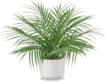 Hollyone Large Artificial Potted Plants Fake Palm Plants 19" Faux Green Plant Plastic Tropical Palm Tree in White Ceramic Pots Bohemian for Home Room Office House Indoor Decoration - Image 2