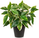 Oairse Artificial Plants Indoor Small Fake Plants in Pots Faux Pothos N‘ Joy Potted Plant Fake Indoor Plants with Black Pots for Bathroom Living Room Office Desk Shelves - Image 2