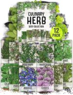 Seed Needs Herb Seeds Variety Pack Culinary Herb Collection (12 Individual Packets for Planting Indoors or Outdoors) Grow Your Own Herb Garden - Heirloom, Non-GMO - Image 2