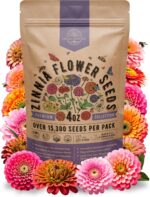 Zinnia Seeds Pack 4 oz - Over 15,300 Non-GMO Heirloom Zinnia Seeds for Planting, Annual Flowers in Individual Seed Packet for Planting Home Garden Indoor & Outdoor Gardening - Image 2